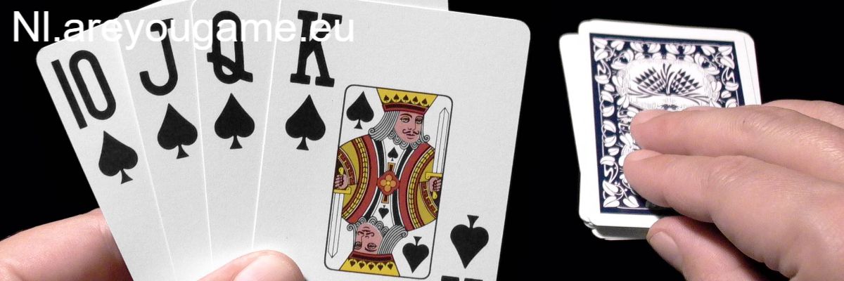 nl.areyougame.eu